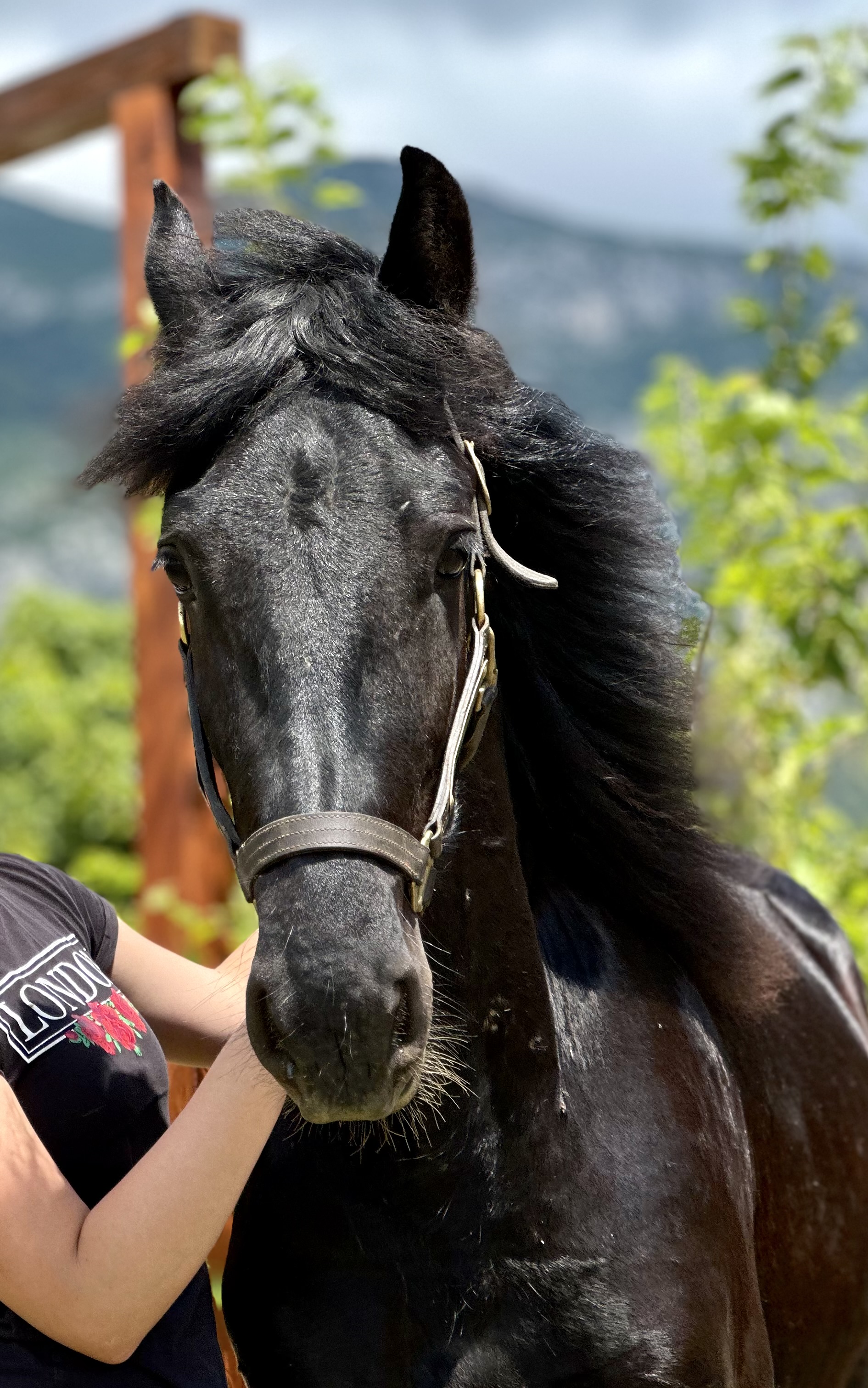 horseback-riding-dubrovnik