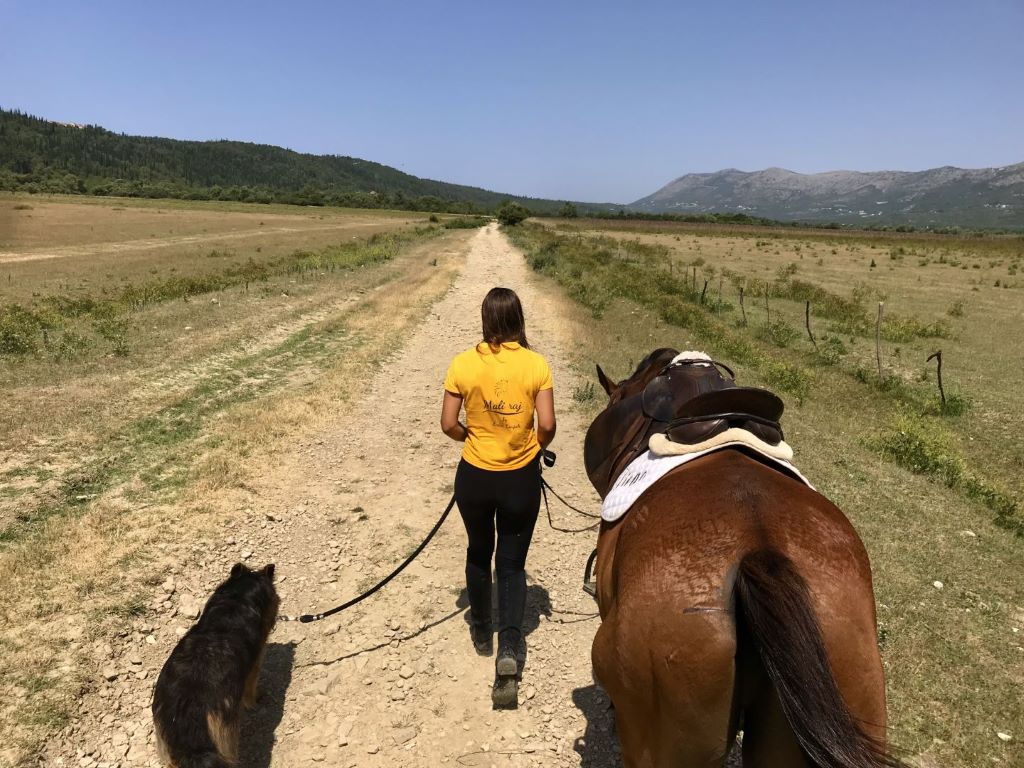 horseback riding Dubrovnik