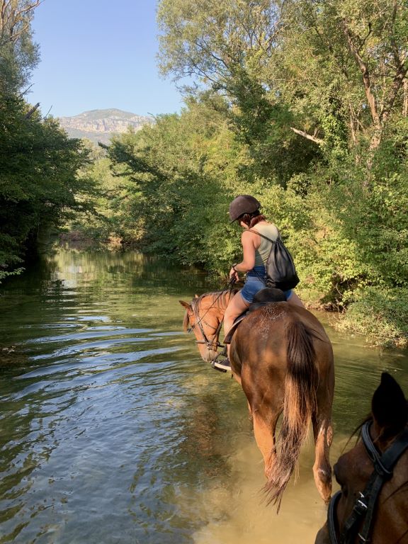 horseback riding Dubrovnik
