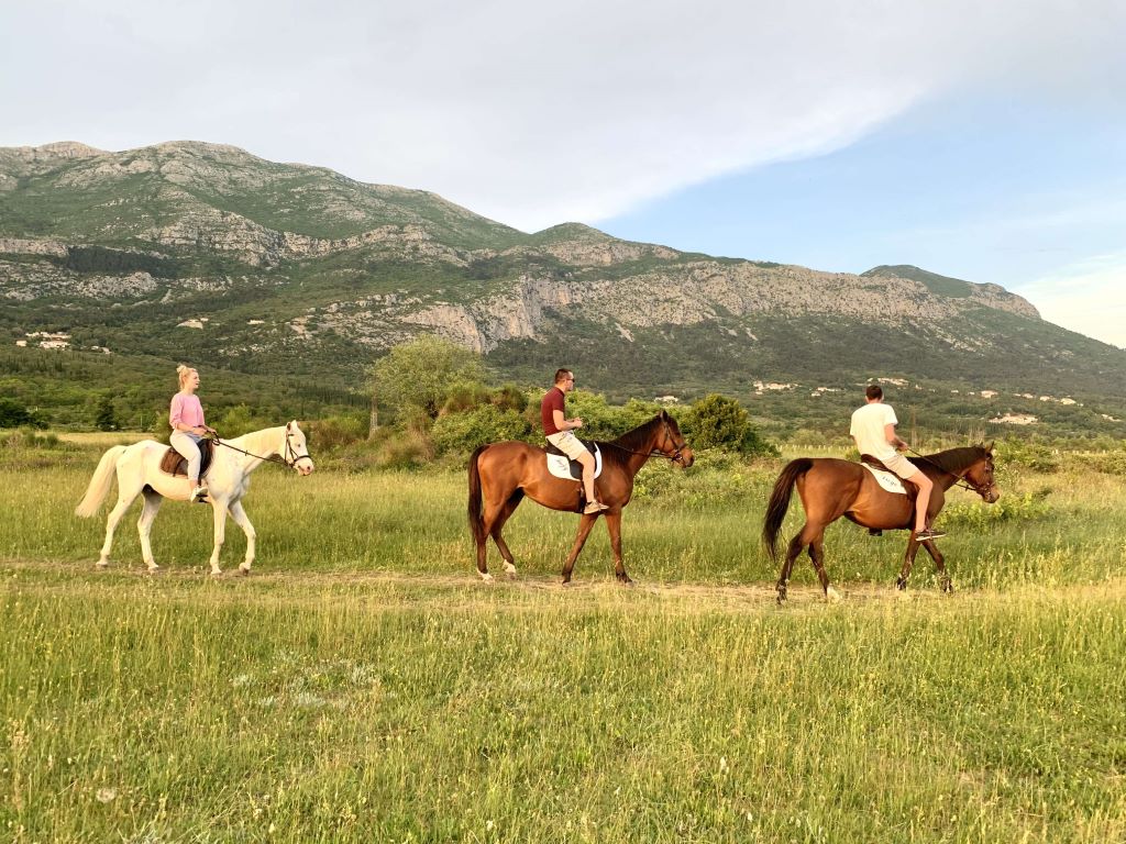 horseback riding Dubrovnik