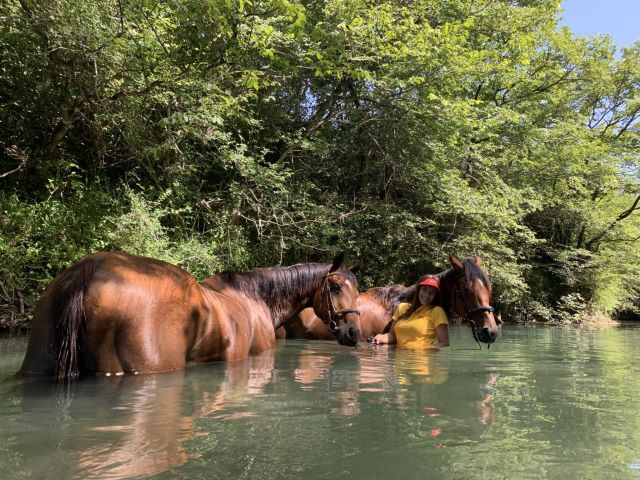 horseback riding Dubrovnik